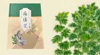 【行業(yè)資訊】國內(nèi)首部艾草專著《南陽艾》，在南陽新書首發(fā)！